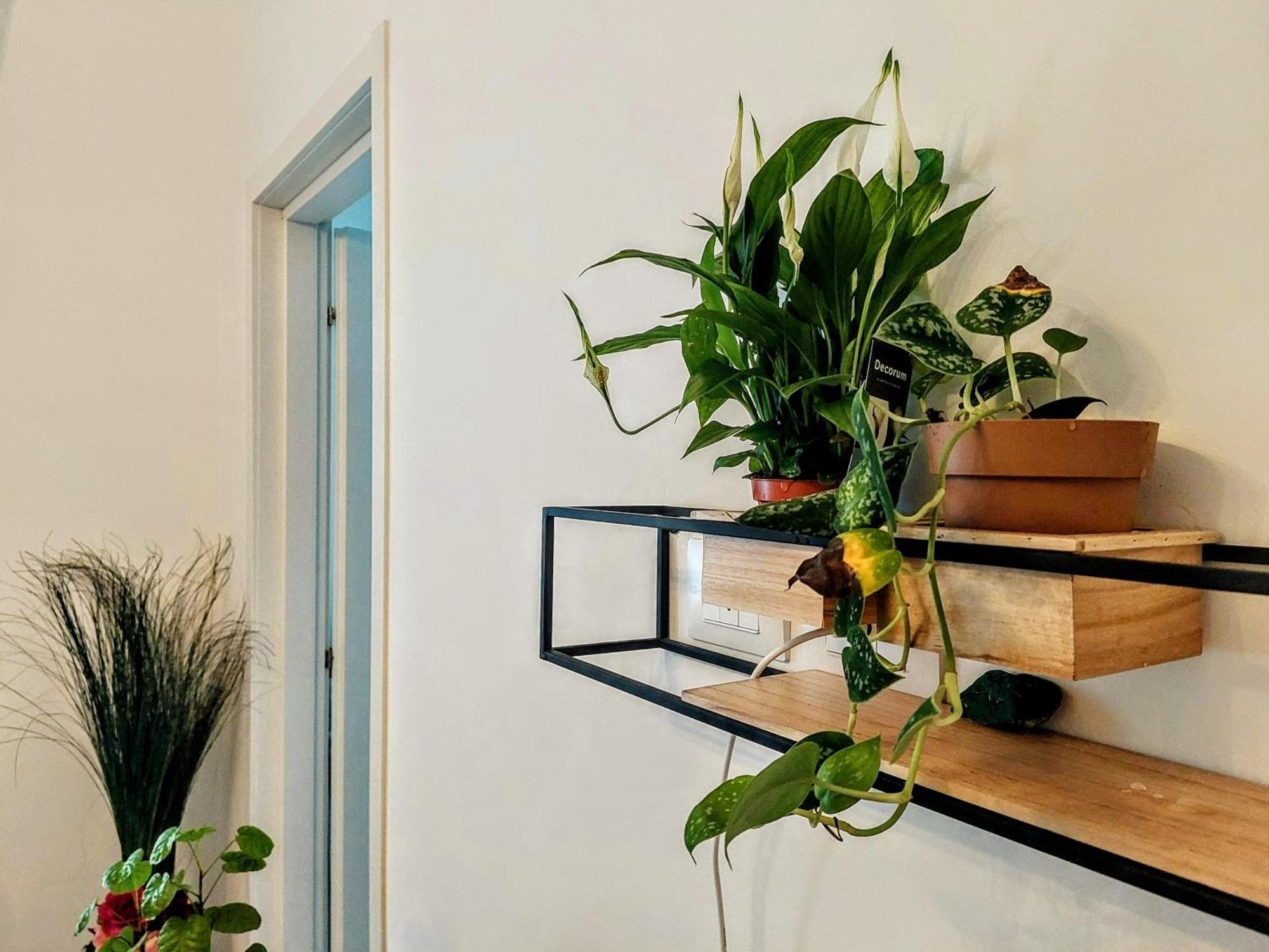 City Apartment - Il Ghiro Firenze Bagian luar foto